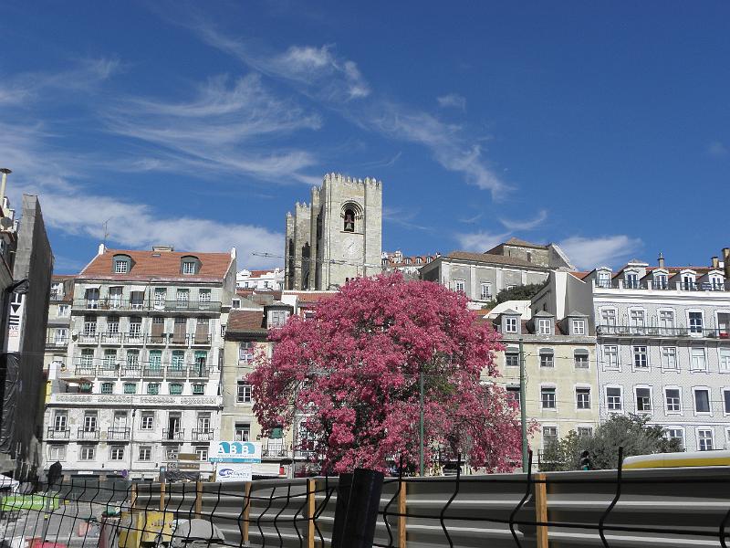PA040051.JPG