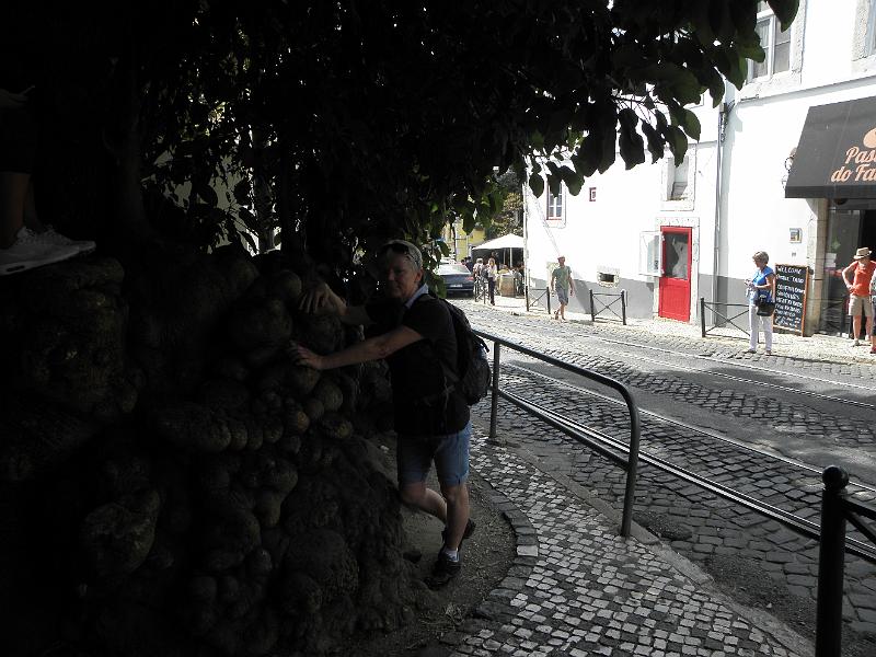 PA040057.JPG