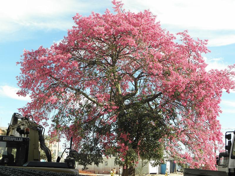 PA040110.JPG