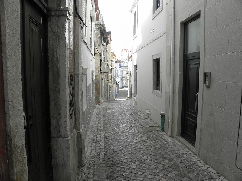 PA060197.JPG