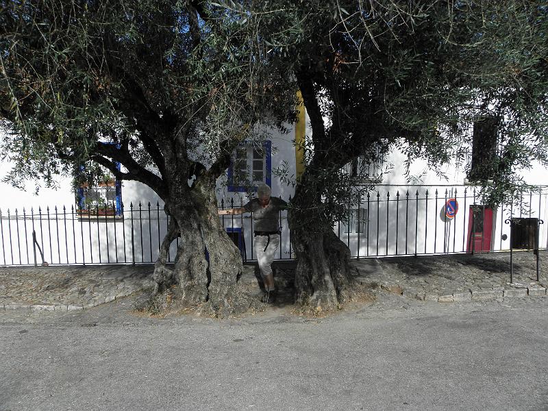 PA080277.JPG