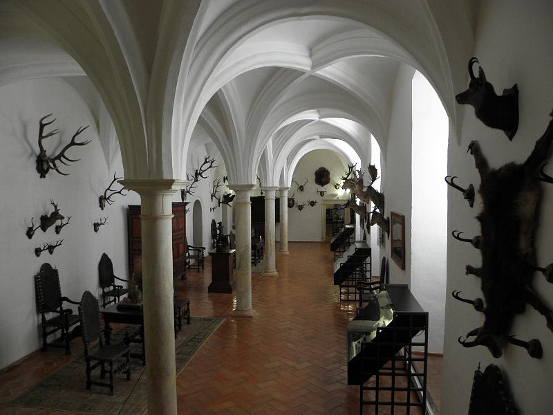 PA080295.JPG