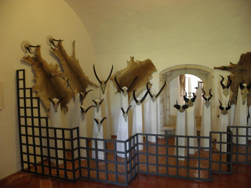PA080298.JPG
