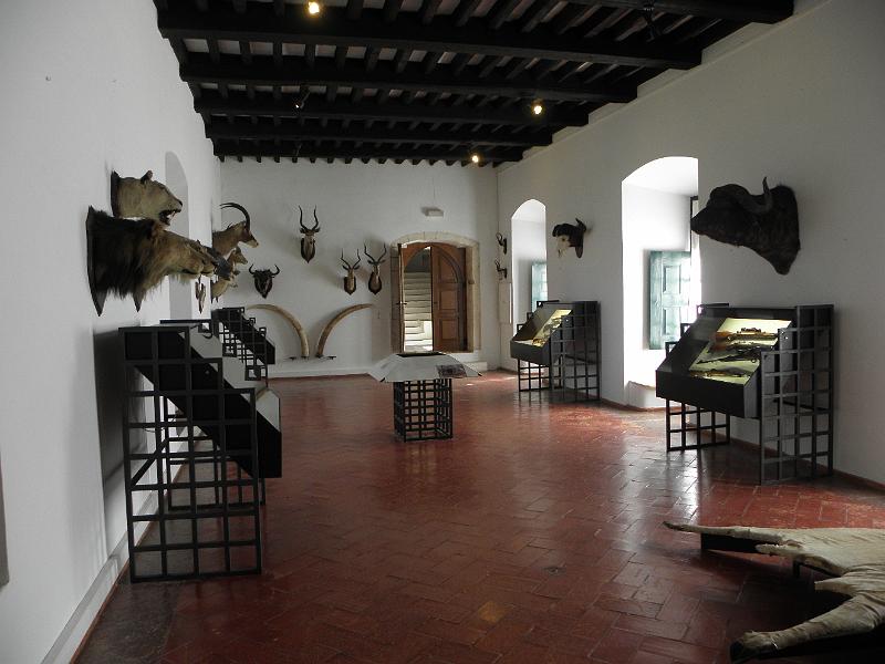 PA080299.JPG