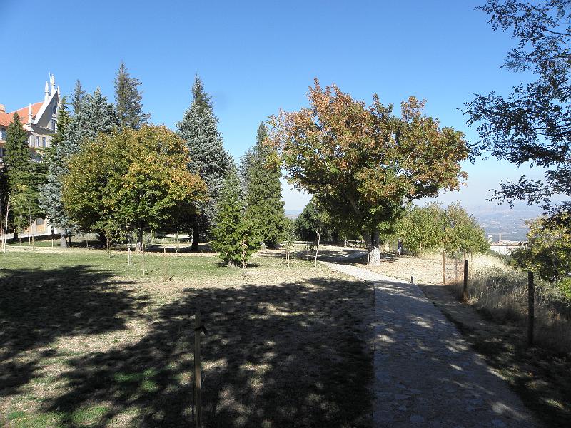 PA090338.JPG