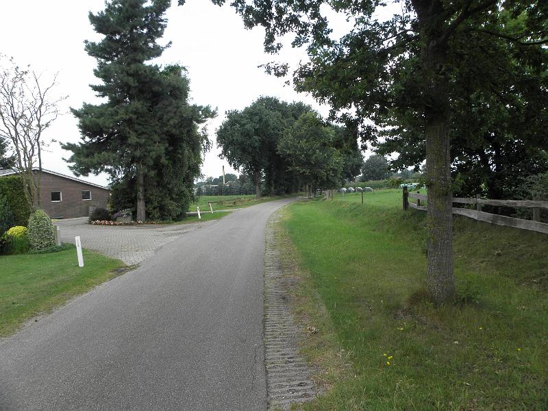 P8150907.JPG