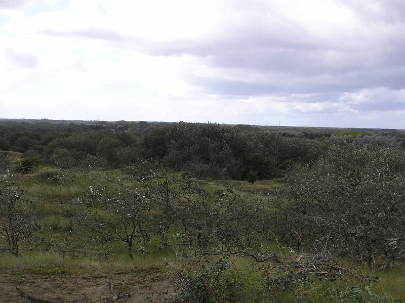 P1010056.JPG