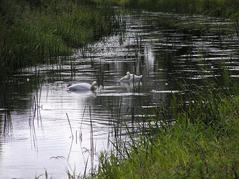 P1010078.JPG