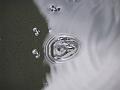 P1010063
