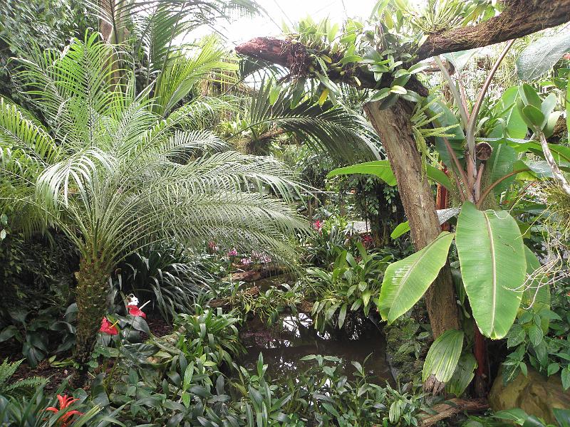 P9221334.JPG