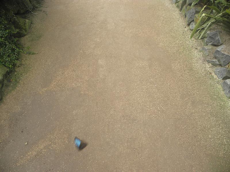 P9221343.JPG