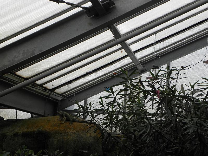P9221368.JPG