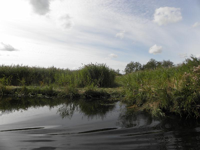 P9231456.JPG
