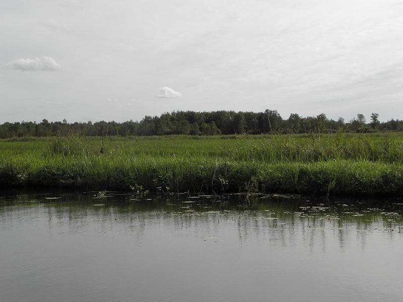 P9231466.JPG