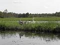 P9231467