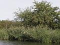P9231478