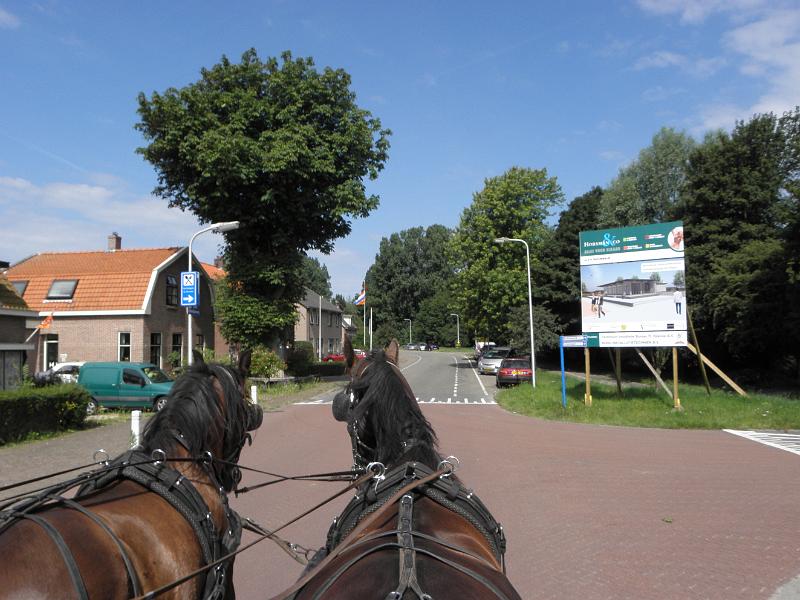 P6210421.JPG