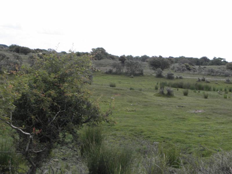 P6210454.JPG