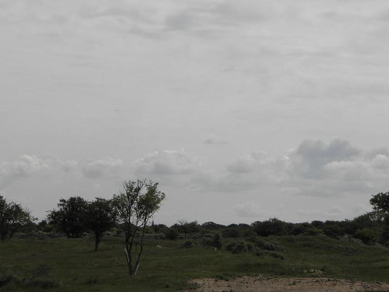 P6210458.JPG