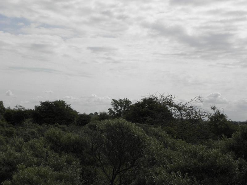 P6210476.JPG