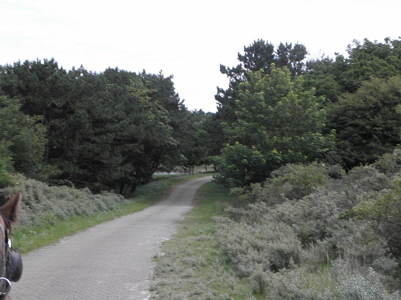 P6210479.JPG