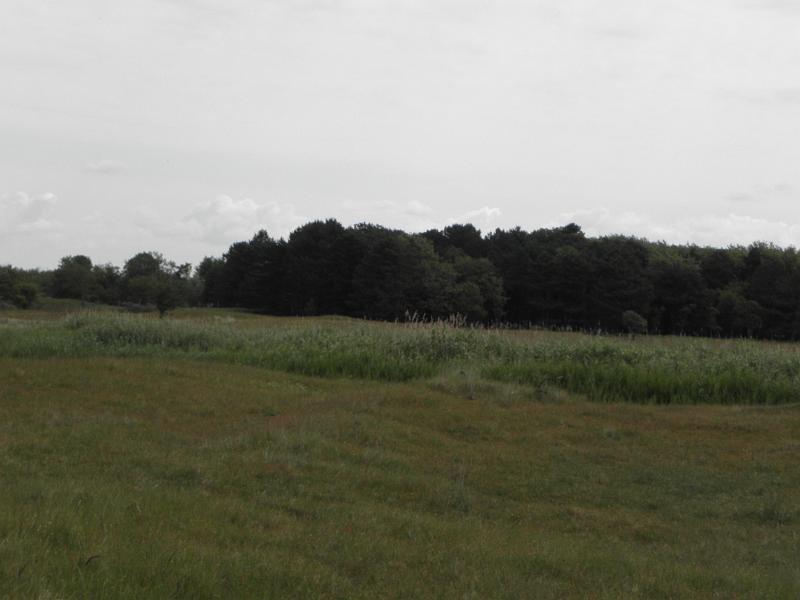 P6210510.JPG