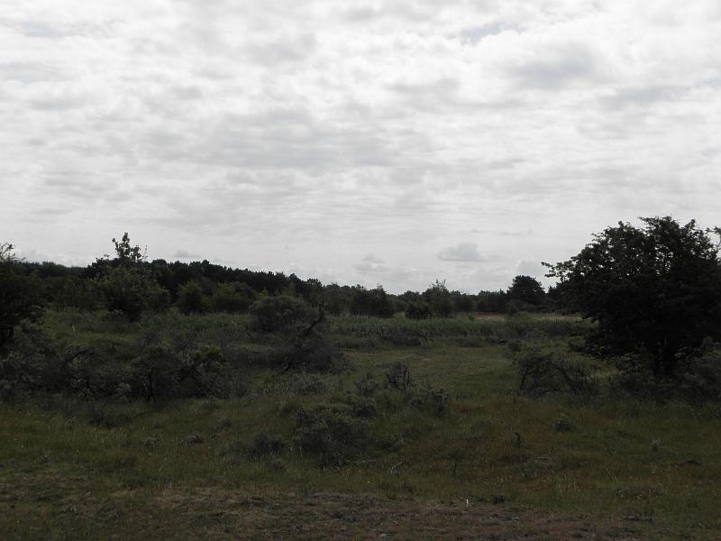 P6210516.JPG