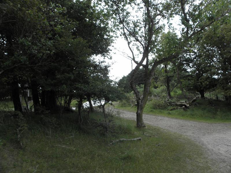 P6210519.JPG