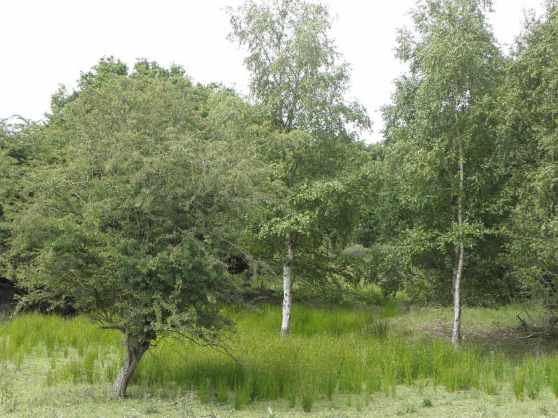 P6210567.JPG