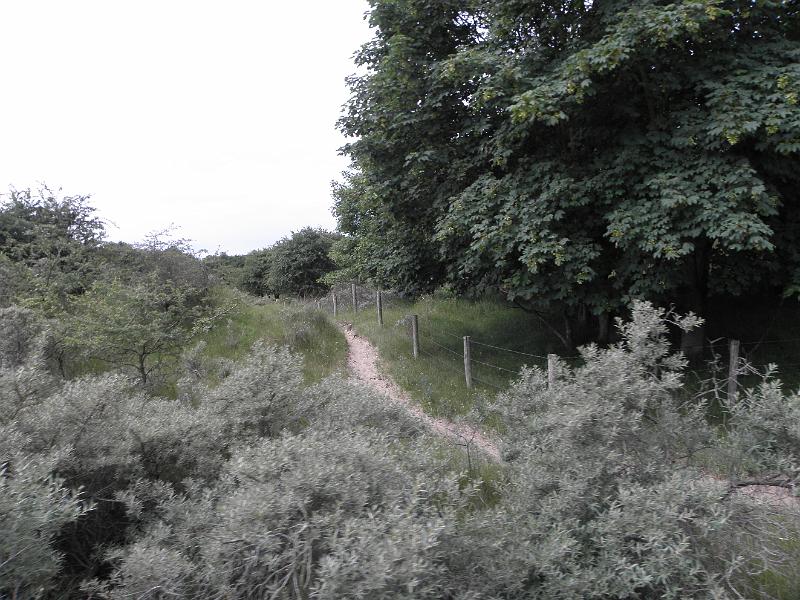 P6210594.JPG
