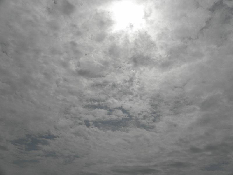 P6210631.JPG