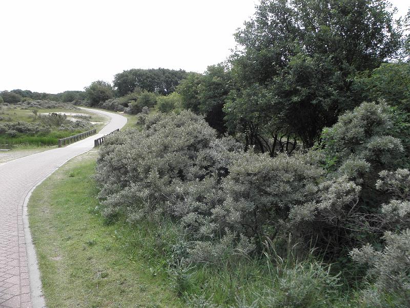 P6210646.JPG