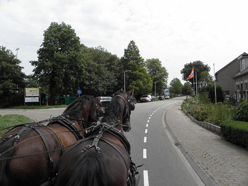P6210671.JPG