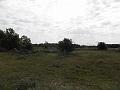 P6210515