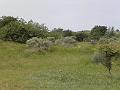 P6210605