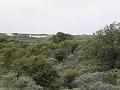P6210630