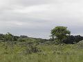 P6210643