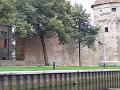 IMG_20160917_124446