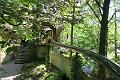 IMG_9013