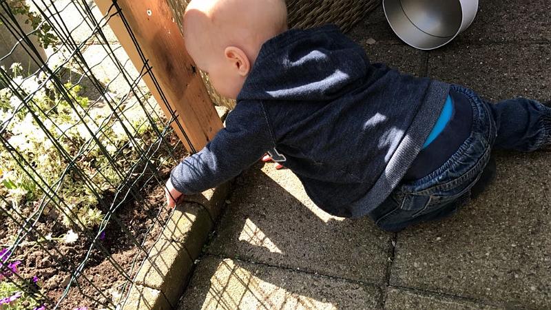 IMG-20170424-WA0044.jpg
