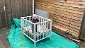 IMG-20170414-WA0011