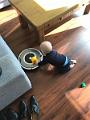 IMG-20170424-WA0007