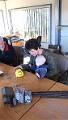 IMG-20170424-WA0022