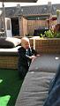 IMG-20170424-WA0035