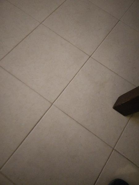 IMG_20161110_215204.jpg