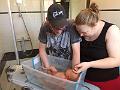 IMG-20160607-WA0000