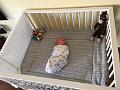 IMG-20160607-WA0001