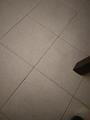 IMG_20161110_215204
