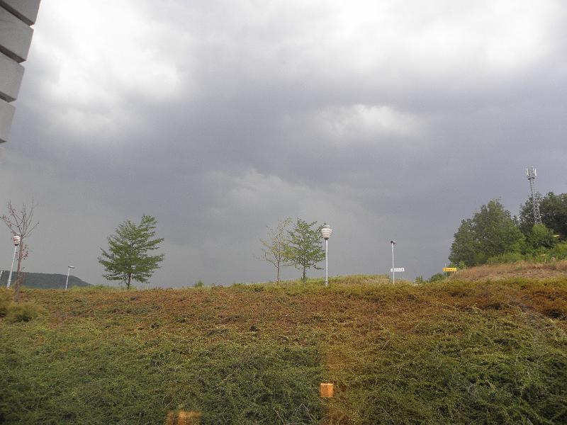 P8090039.JPG