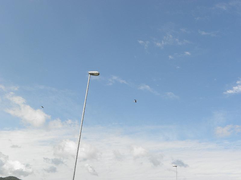 P8100050.JPG